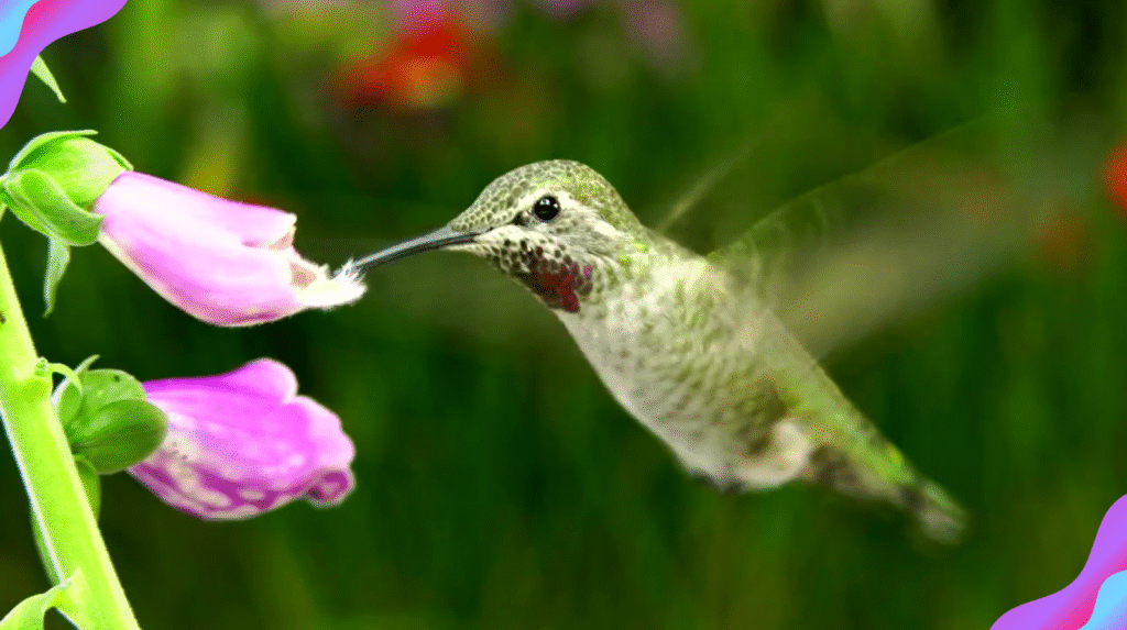 awesome bird names