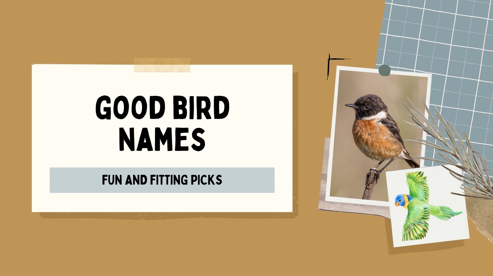Good Bird Names