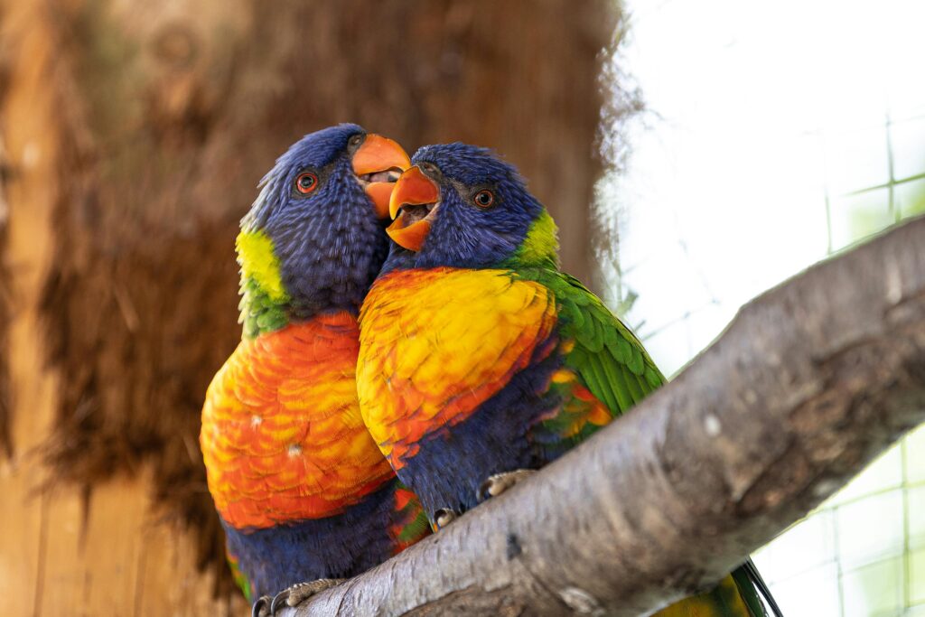 Good Bird Names
